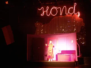 HOND HOUSE OF NATIONAL DOG — Foto 5